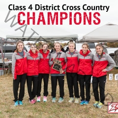 Cross Country Zizzers Sweep Districts!
