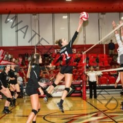 Zizzer Volleyball Falls to the Lakers