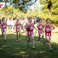 Cross Country Flexes Muscle at St. Louis