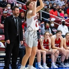 LadyZizzers Defeat Carl Junction in State Quarterfinals!