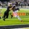 Zizzers Fall To Lebanon