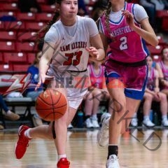 LadyZizzers Take 4th in Pink and White Tournament