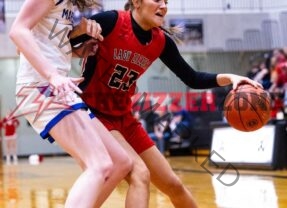 LadyZizzers Earn 2nd at Districts