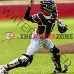 Zizzer Baseball Takes 2nd at Districts