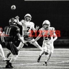 Zizzers Finish Top 8 in State