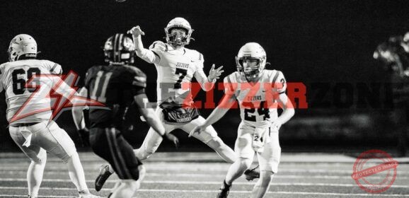 Zizzers Finish Top 8 in State