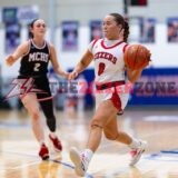 LadyZizzers Advance to District Championship