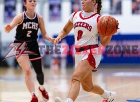 LadyZizzers Advance to District Championship