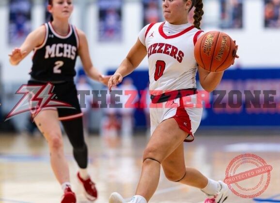 LadyZizzers Advance to District Championship