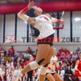 Lady Zizzers Sweep Rolla at Home